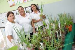 Inauguração da Reforma da Escola Maria Mitiko Tsuboi