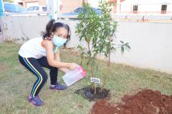 Escolas comemoram o Dia do Meio Ambiente