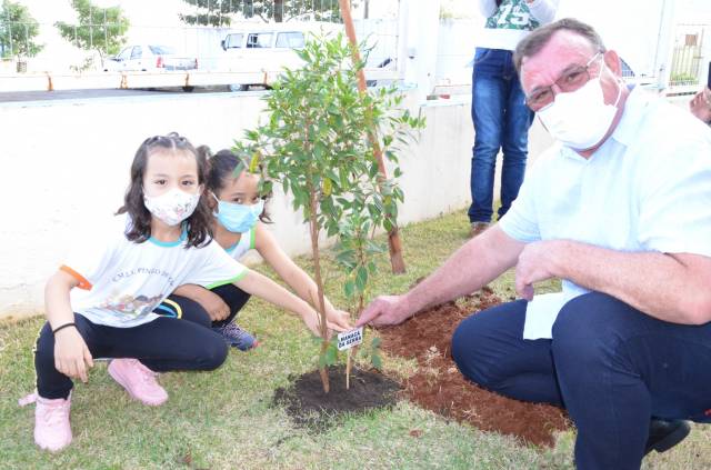 =Escolas comemoram o Dia do Meio Ambiente