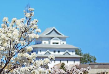 Castelo Japonês