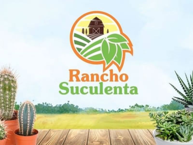 Rancho Suculentas