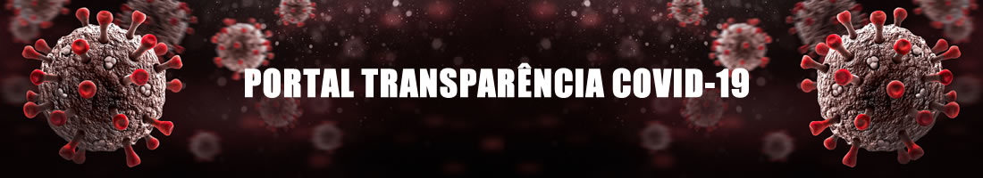 Portal da Transparência Covid-19