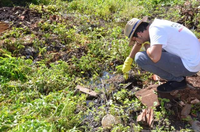 DENGUE: A UNICA FORMA DE COMBATER É ELIMINAR OS CRIADOUROS.
