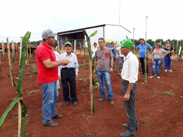 Produtores participam do Dia Campo da Villa Puree